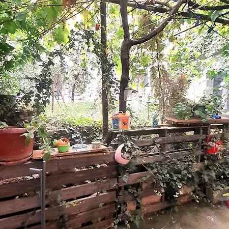 Charming With Outdoor Area
