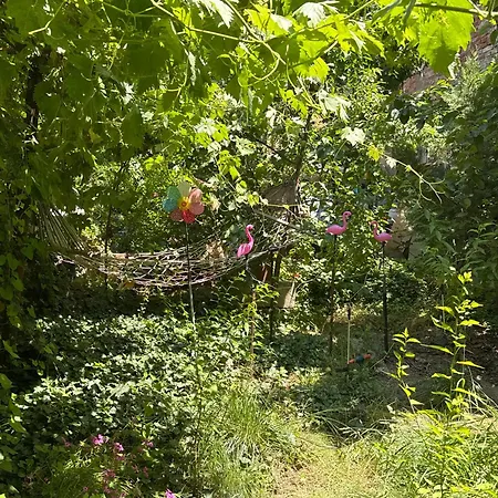 Private Guest With Garden Access * Skopje