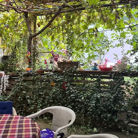 Hébergement de vacances Private Guest With Garden Access *