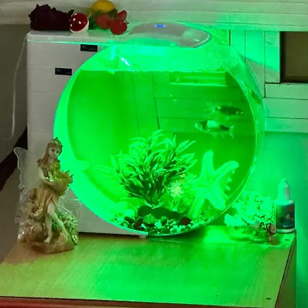 Дом отдыха Private Guest With Garden Access Скопье