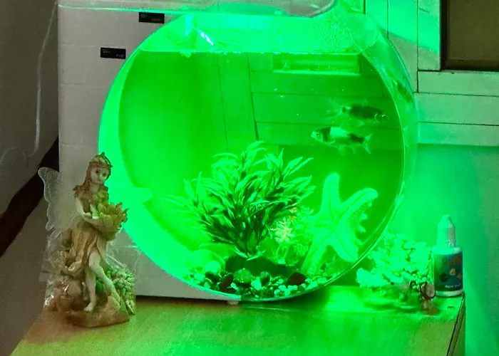 Holiday home Private Guest With Garden Access Skopje